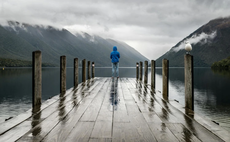 A person in a blue jacket stands on a wet wooden pier facing a misty lake and mountains. A seagull perches on a post, under a cloudy sky, conveying tranquility.